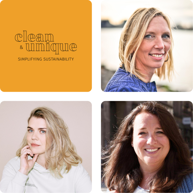 Clean and unique consultancy